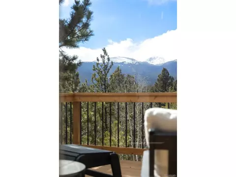 21 Gauthier Rd, Bailey, CO 80421 photo 6