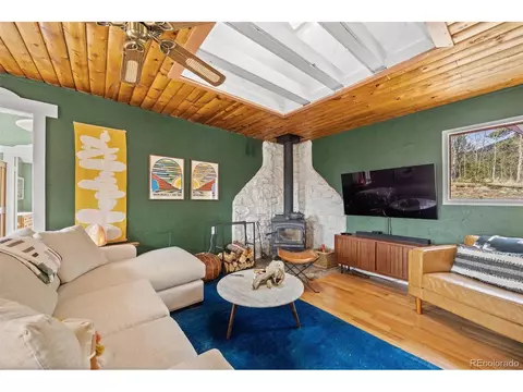 21 Gauthier Rd, Bailey, CO 80421