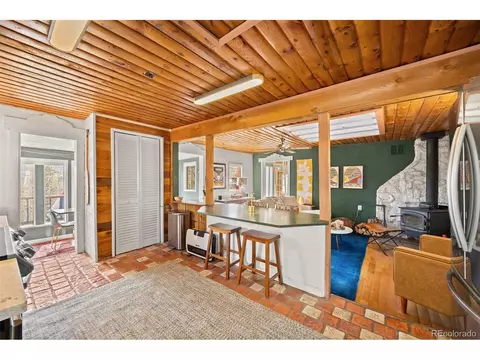 21 Gauthier Rd, Bailey, CO 80421 photo 12