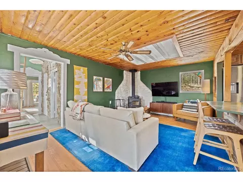 21 Gauthier Rd, Bailey, CO 80421 photo 17