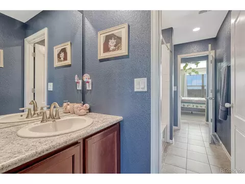 2343 E 161st Ct, Thornton, CO 80602 photo 23