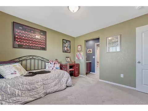 2343 E 161st Ct, Thornton, CO 80602 photo 24