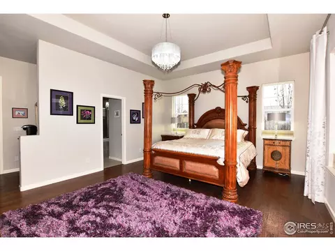 5702 Mid Pointe Dr, Windsor, CO 80550 photo 20