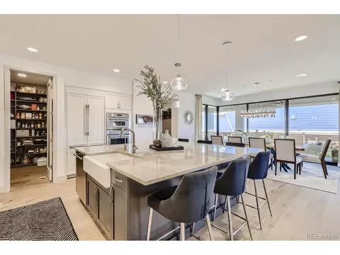 9754 E 60th Pl, Denver, CO 80238 photo 11