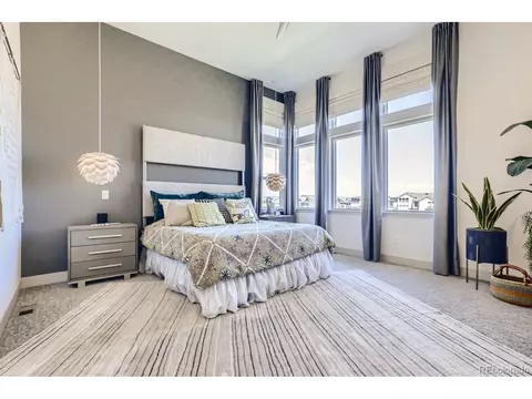 9754 E 60th Pl, Denver, CO 80238 photo 15