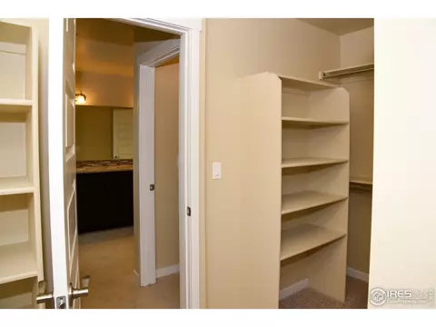 2170 Day Spring Dr, Windsor, CO 80550 photo 7