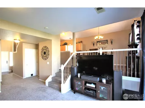 9882 Buffalo St, Longmont, CO 80504 photo 13