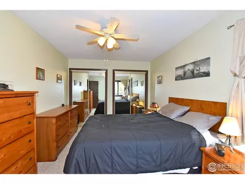 22 Daisy Ct, Windsor, CO 80550 photo 14