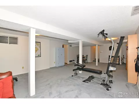 22 Daisy Ct, Windsor, CO 80550 photo 19