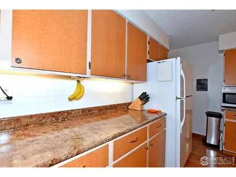 22 Daisy Ct, Windsor, CO 80550 photo 11