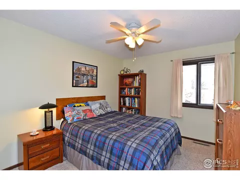 22 Daisy Ct, Windsor, CO 80550 photo 16