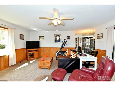 22 Daisy Ct, Windsor, CO 80550 photo 3