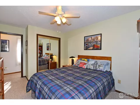 22 Daisy Ct, Windsor, CO 80550 photo 17