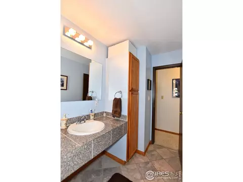 22 Daisy Ct, Windsor, CO 80550 photo 15