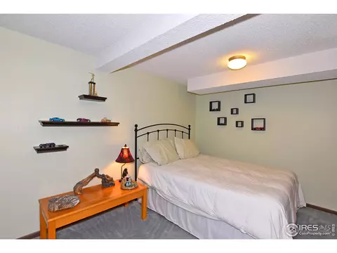 22 Daisy Ct, Windsor, CO 80550 photo 21