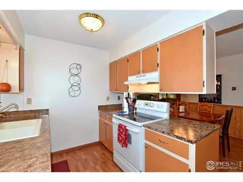 22 Daisy Ct, Windsor, CO 80550 photo 8