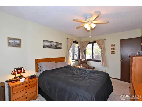 22 Daisy Ct, Windsor, CO 80550 photo 13