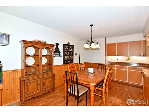 22 Daisy Ct, Windsor, CO 80550 photo 5