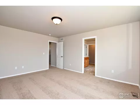 904 Mt Shavano Ave, Windsor, CO 80550 photo 23