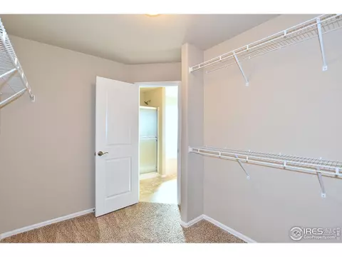 811 Mt Sneffels Ave, Windsor, CO 80550 photo 21