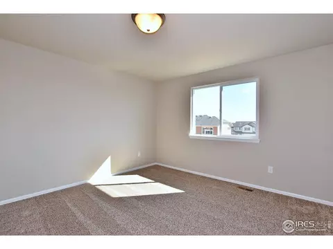811 Mt Sneffels Ave, Windsor, CO 80550 photo 33