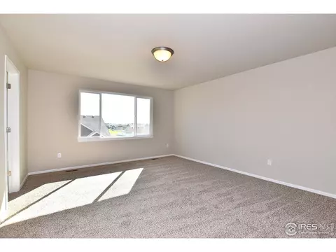 811 Mt Sneffels Ave, Windsor, CO 80550 photo 14