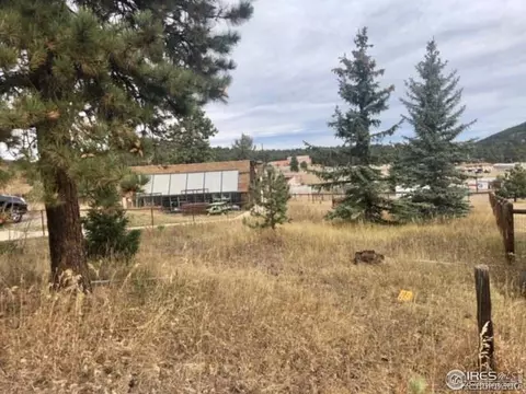 26261 Nelson Ave, Conifer, CO 80433 photo 9