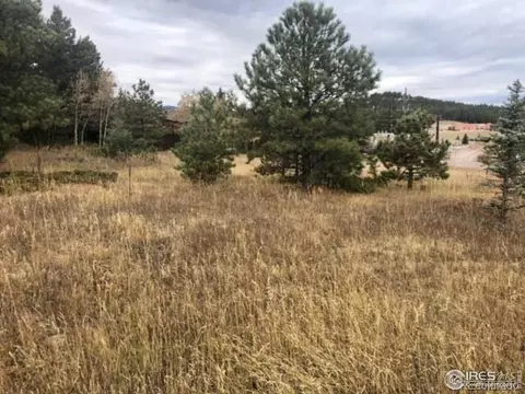 26261 Nelson Ave, Conifer, CO 80433 photo 6