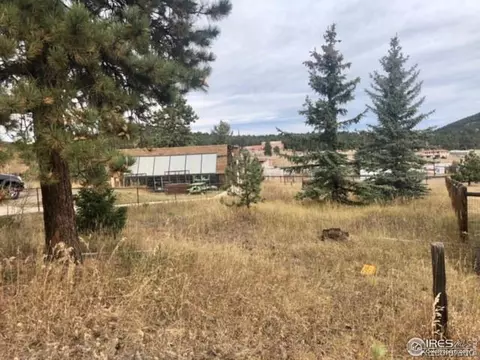 26261 Nelson Ave, Conifer, CO 80433 photo 10