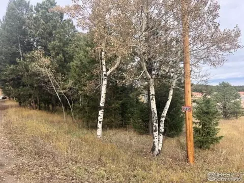 26261 Nelson Ave, Conifer, CO 80433 photo 11