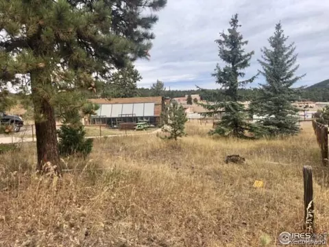 26261 Nelson Ave, Conifer, CO 80433 photo 8