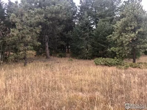 26261 Nelson Ave, Conifer, CO 80433 photo 7