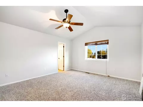 246 Opal Ct, Windsor, CO 80550 photo 9