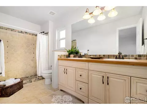 246 Opal Ct, Windsor, CO 80550 photo 10