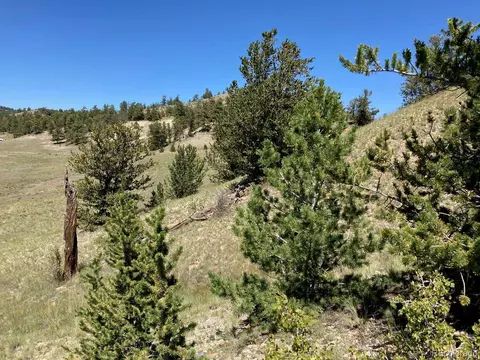 976 Cherokee Trl, Hartsel, CO 80449