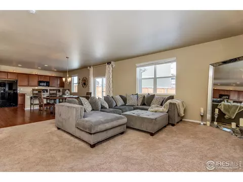7775 E 136th Dr, Thornton, CO 80602 photo 5