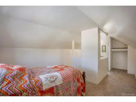 505 Sioux Ave, Simla, CO 80835 photo 9