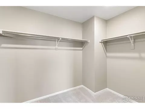 862 Charlton Dr, Windsor, CO 80550 photo 19