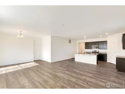 1803 Nightfall Dr, Windsor, CO 80550 photo 4
