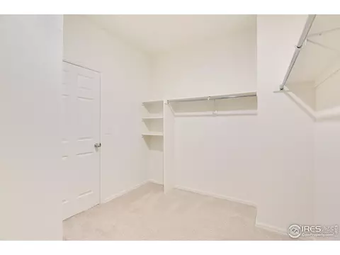 1803 Nightfall Dr, Windsor, CO 80550 photo 23