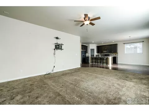 3572 E 141st Ave, Thornton, CO 80602 photo 13