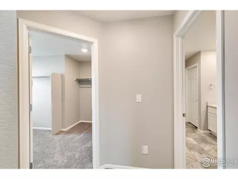 1785 Nightfall Dr, Windsor, CO 80550 photo 19