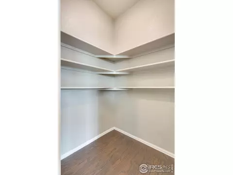 1785 Nightfall Dr, Windsor, CO 80550 photo 11