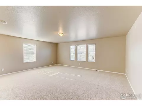 5393 Silverleaf Ave, Longmont, CO 80504 photo 10