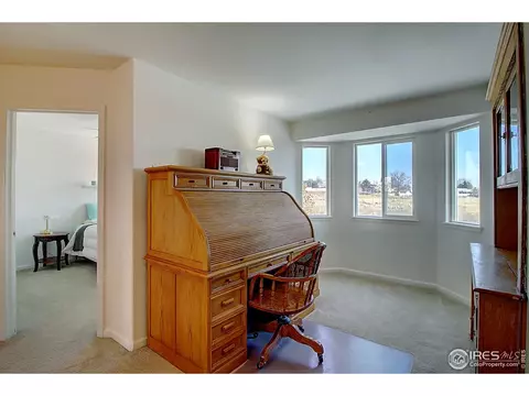 9505 E 159th Ave, Brighton, CO 80602 photo 23