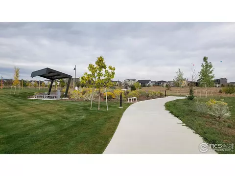 12737 Canoe St, Longmont, CO 80504 photo 17