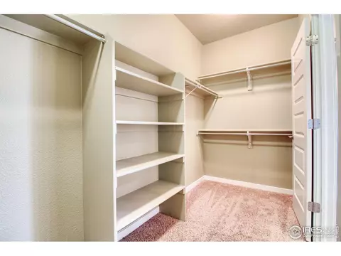 1790 Valley Brook Ln, Severance, CO 80550 photo 26