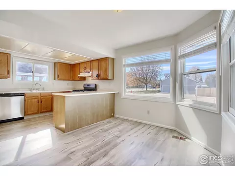 1033 Pinyon Dr, Windsor, CO 80550 photo 18