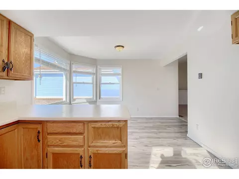 1033 Pinyon Dr, Windsor, CO 80550 photo 10