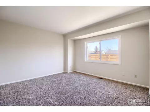 1033 Pinyon Dr, Windsor, CO 80550 photo 22
